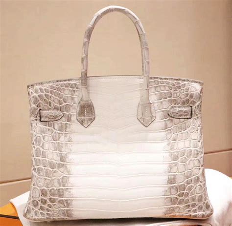 hermes albino